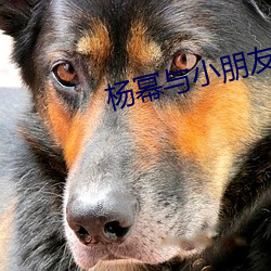 杨幂与小朋(朋)友(友)