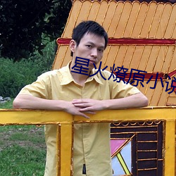 星火燎原小说