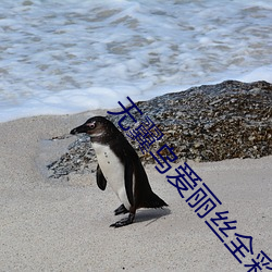 无翼乌爱丽(lì)丝全彩无遮(zhē)挡
