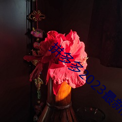 拼多多2023最新版免費下載