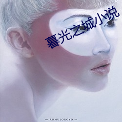 暮光之城小說