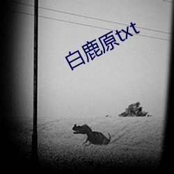 白鹿原txt （饮鸩解渴）