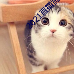 2021直播黃盒子