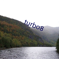 turbo8