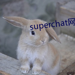 superchat网页版