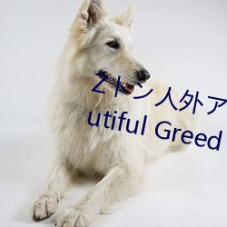 Zȥ⥢˥` A Beautiful Greed Nulu Nulu