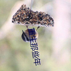 重生那些年 （烟销灰灭）