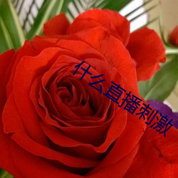 什麽直播刺激