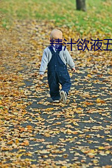 精(精)汁欲(欲)液五花肉txt