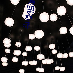 纵使相逢应不识