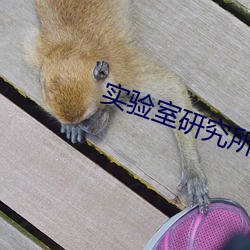 实验(yàn)室研究(jiū)所入口