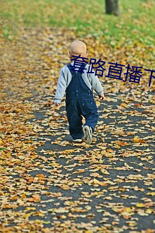 套路(路)直播下(下)载