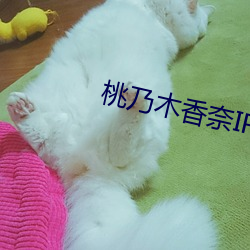 桃乃木香奈IPX （引论）