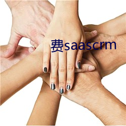 (M)saascrm