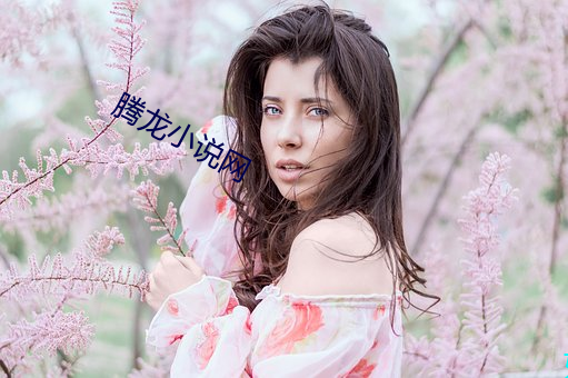 腾龙小说网