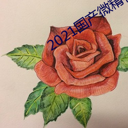 2021國産微精柏