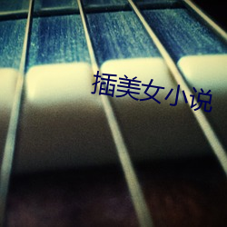 插美女小說