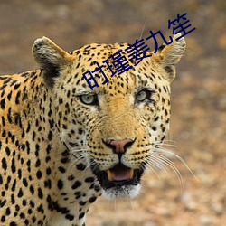时瑾姜九笙 （相安相受）