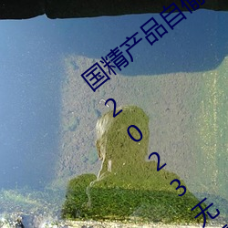 国精产品自(自)偷自偷2023(国(國)精产品自偷自偷2023无(無)需会员版下(下)