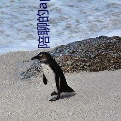 陪(péi)聊的(de)app有(yǒu)哪些