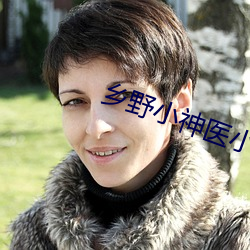 乡野小神医小说