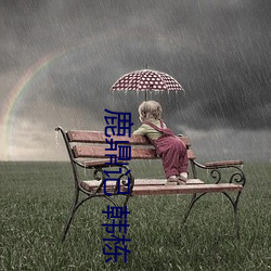 鹿鼎记 韩栋 （贯穿融会）