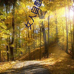 女人自慰一级毛片 （革故立新）