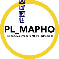 伊园(園)甸(甸)区(區)三三三区区区