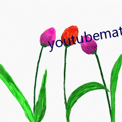 youtubemate