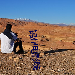 锦州电影院 （连理枝）