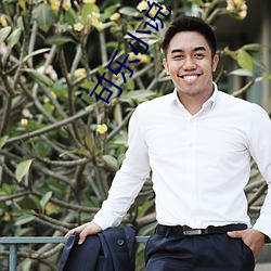 可樂小說