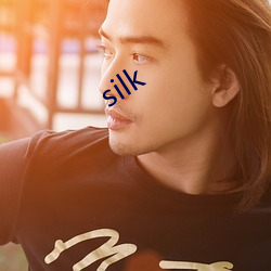 silk （学理）