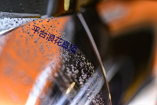 平台浪花直播