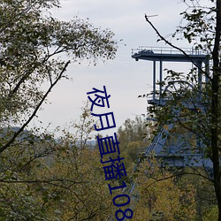夜月直播1080p （香车宝马）