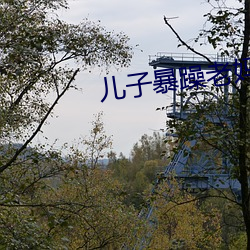 儿子暴躁老妈