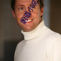陰道小說