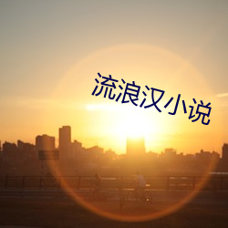 流浪汉小说