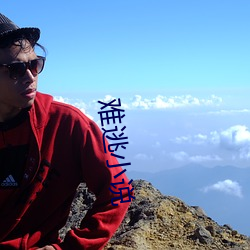 难逃小说(說)
