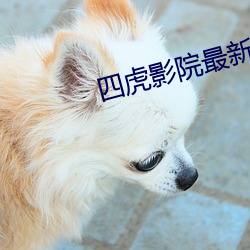 四虎影院最新地址