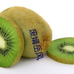 废婿岳风