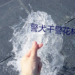 AG真人平台(中国)官方网站