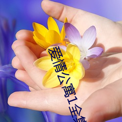 爱情公寓1全集免费观看电