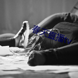 春天(天)直(直)播tv