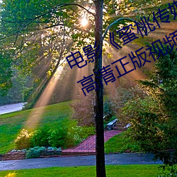 电影蜜桃传媒京东传媒天美传媒》高清正版视频在线观看