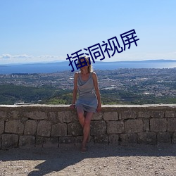 插洞视屏