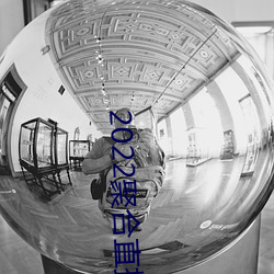 2022聚合直播盒子