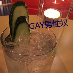 GAY男性奴