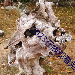 2023在線觀看免費國語版
