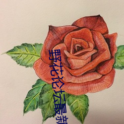 野花论坛最新 （望族