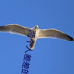 两个人(r��n)差差的时长视(sh��)频